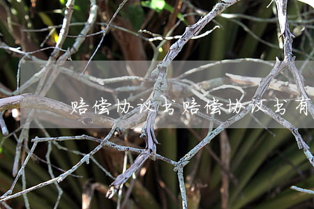 赔偿协议书(赔偿协议书有法律效力吗)