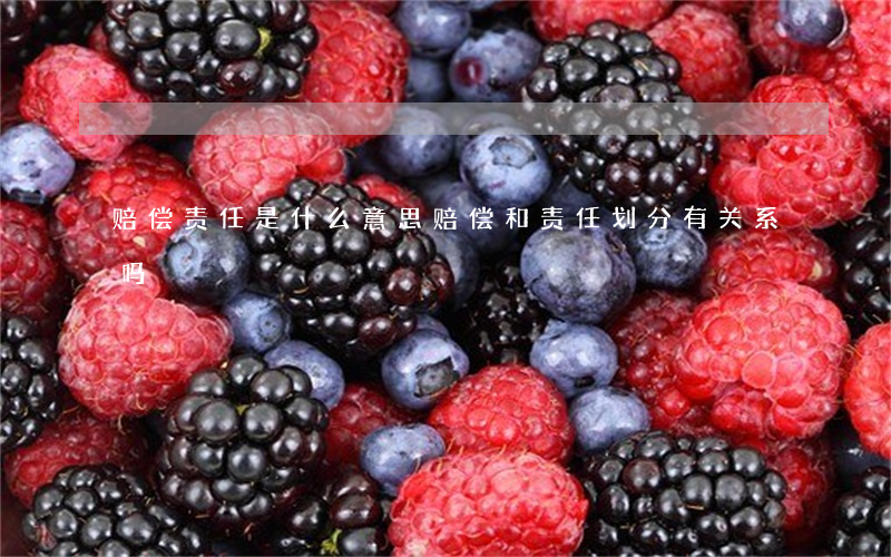 赔偿责任是什么意思(赔偿和责任划分有关系吗)