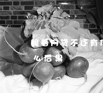 赖着网贷不还有什么后果(赖着网贷不还有什么后果)