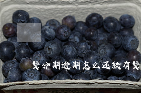 赞分期逾期怎么还款(有赞分期付款怎么申请)