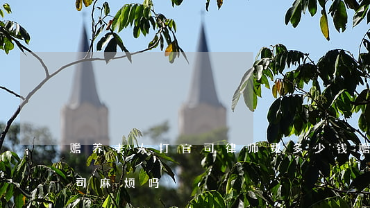 赡养老人打官司律师费多少钱(赡养老人打官司麻烦吗)