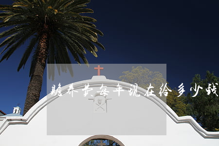 赡养费每年现在给多少钱