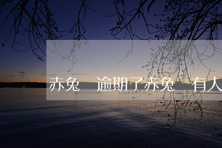 赤兔寶逾期了(赤兔寶有人下款嗎)