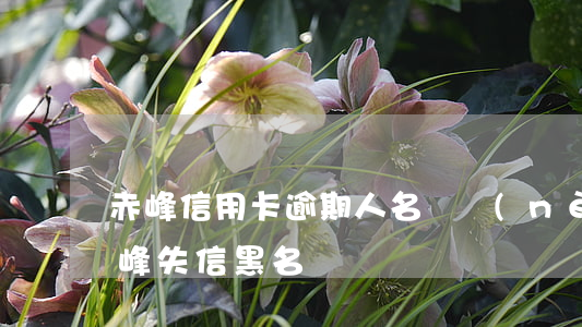 赤峰信用卡逾期人名單(內(nèi)蒙古赤峰失信黑名單)