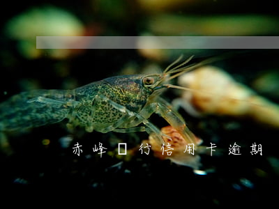 赤峰銀行信用卡逾期