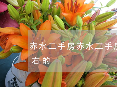赤水二手房(赤水二手房二十萬(wàn)左右的)