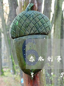 赤水刑事拘留請(qǐng)律師怎么請(qǐng)