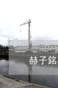 赫子銘與何潔離婚原因