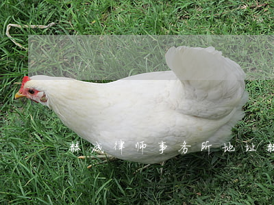 赫诚律师事务所地址(赫诚乔春兰律师事务所)
