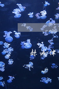 赫诚律师事务所方明怎么联系
