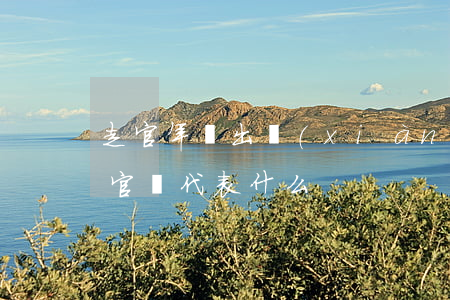 走官年會出現(xiàn)男人嗎(男人走正官運代表什么)