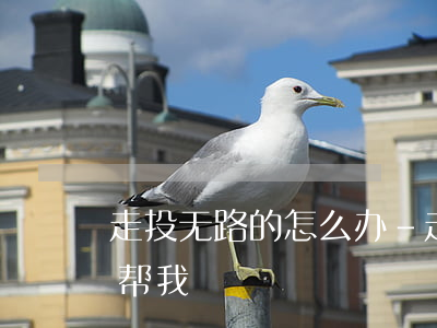 走投无路的怎么办-走投无路怎么办谁能帮帮我