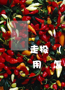 走投無(wú)路網(wǎng)貸逾期急用錢怎么辦-走投無(wú)路急用錢網(wǎng)貸秒拒