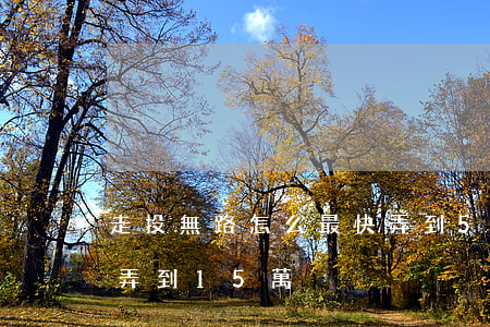 走投無路怎么最快弄到5萬-走投無路怎么弄到15萬