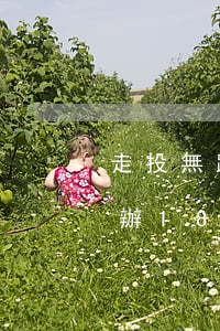 走投無路急用錢怎么辦(走投無路急用錢怎么辦18歲)