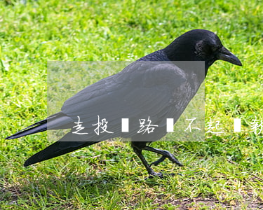 走投無路還不起貸款嗎(欠款走投無路)