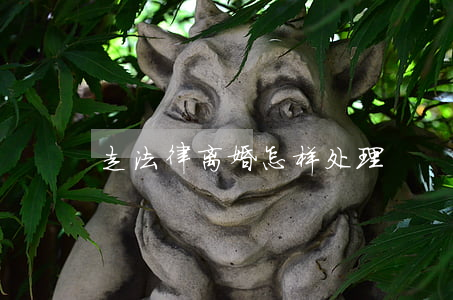 走法律离婚怎样处理