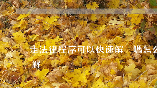 走法律程序可以快速解決嗎(怎么走司法途徑解決)