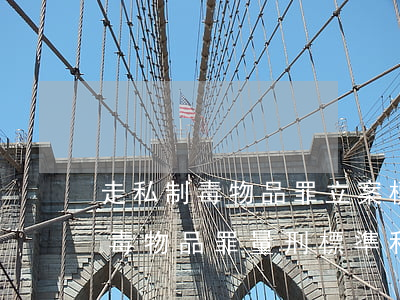 走私制毒物品罪立案標準_2021走私制毒物品罪量刑標準和認定構成要件