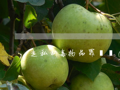 走私制毒物品罪辯護(hù)詞