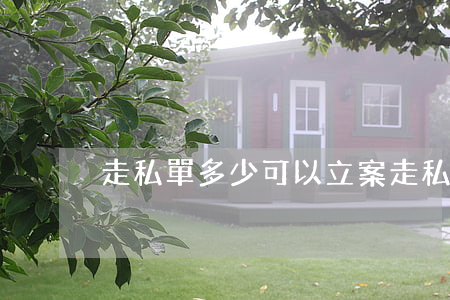 走私單多少可以立案(走私單多少可以立案)