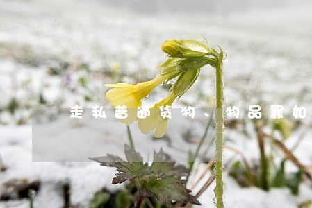 走私普通货物、物品罪如何处罚