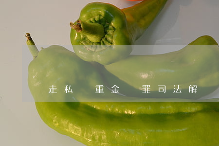 走私貴重金屬罪司法解釋是什么