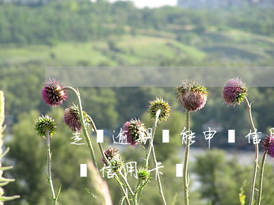 走過逾期還能申請信用卡嗎(走過逾期還能申請信用卡嗎)