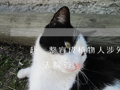 赴韓整容成植物人,涉外醫(yī)療糾紛哪個法院管轄