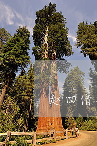 赵四借钱两万卡了（赵四借钱给别人打官司）