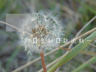 起亞金融還款逾期一天(起亞金融還款逾期一天)