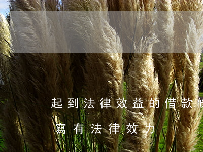起到法律效益的借款條怎么寫(利息借條怎么寫有法律效力)