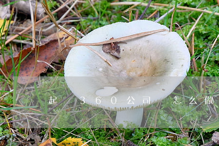 起訴360公司該怎么做（360個人起訴）