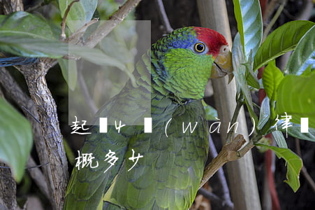 起訴4萬(wàn)律師費(fèi)用大概多少