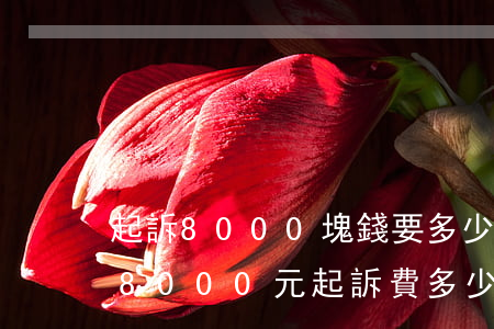 起訴8000塊錢要多少執(zhí)行費(8000元起訴費多少錢)