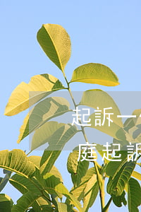 起訴一個(gè)人需要多久開(kāi)庭(起訴一般要多久開(kāi)庭)