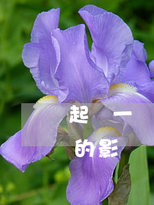 起訴一個人借錢不還-起訴一個人借錢不還的影響