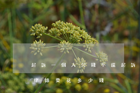 起訴一個人欠錢不還(起訴一個人欠錢不還請律師要花多少錢)