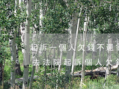 起訴一個人欠錢不還需要什么證據(jù)(去法院起訴個人欠錢不還的人需要什么手續(xù))