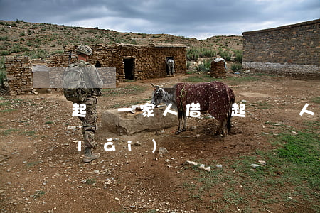 起訴一家人借錢(起訴親人欠款錢能要回來(lái)嗎)