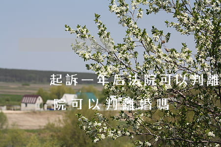 起訴一年后法院可以判離婚嗎(起訴一年后法院可以判離婚嗎)