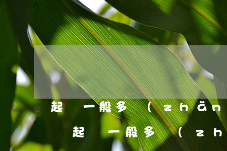 起訴一般多長(zhǎng)時(shí)間(起訴一般多長(zhǎng)時(shí)間立案)