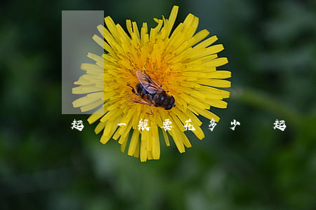起訴一般要花多少錢(起訴大概要花多少錢)