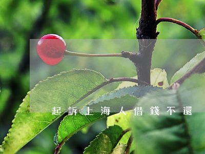 起訴上海人借錢不還