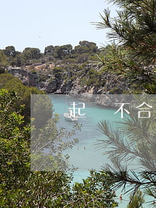 起訴不合規(guī)網(wǎng)貸