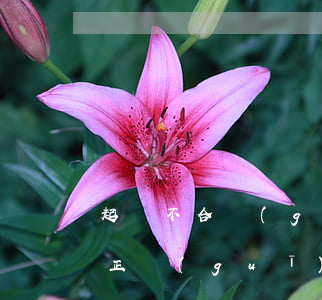 起訴不合規(guī)網(wǎng)貸(不正規(guī)網(wǎng)貸可以起訴我嗎)