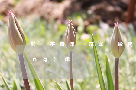 起訴不用律師可以嗎(被起訴可以不請(qǐng)律師嗎)
