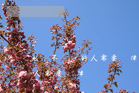 起訴不還錢的人需要請律師嗎(起訴不還錢的人需要請律師嗎)
