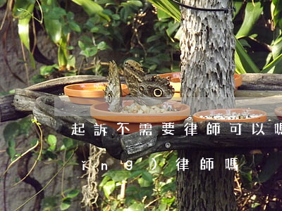 起訴不需要律師可以嗎(被起訴可以不請(qǐng)律師嗎)