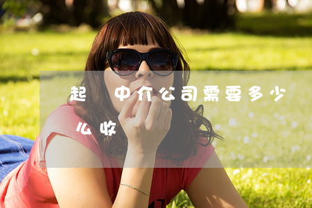 起訴中介公司需要多少錢(中介公司中介費怎么收)